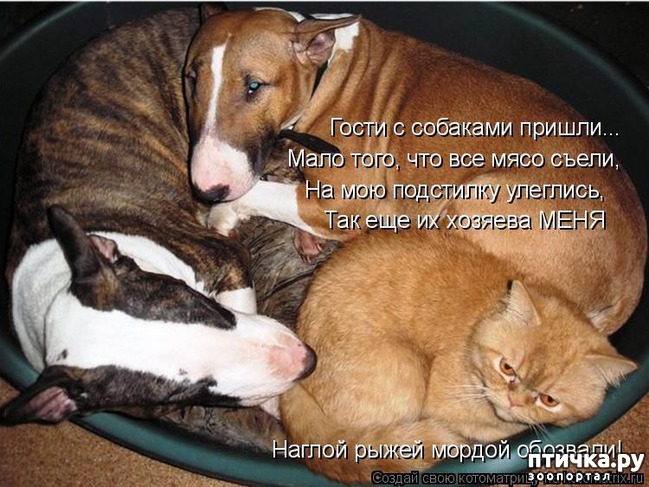 ���� 15: ������ � 2018 ���� ��������� �����������: ��� ����� � �������!