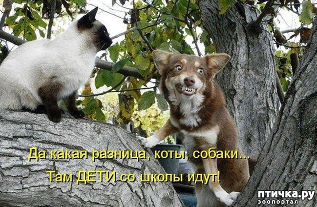 ���� 16: ������ � 2018 ���� ��������� �����������: ��� ����� � �������!