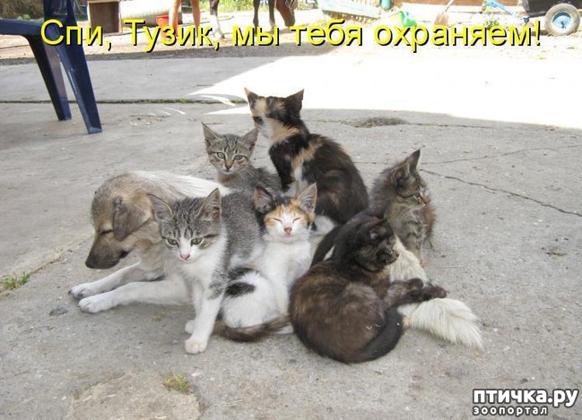 ���� 17: ������ � 2018 ���� ��������� �����������: ��� ����� � �������!