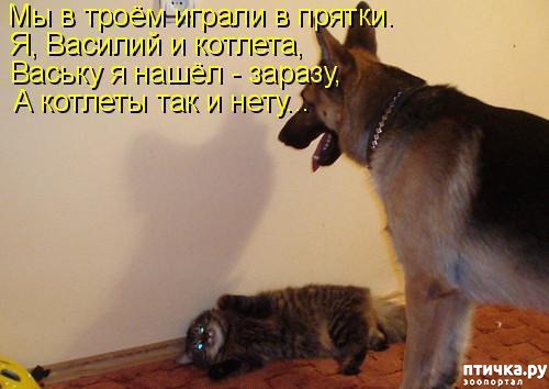 ���� 18: ������ � 2018 ���� ��������� �����������: ��� ����� � �������!