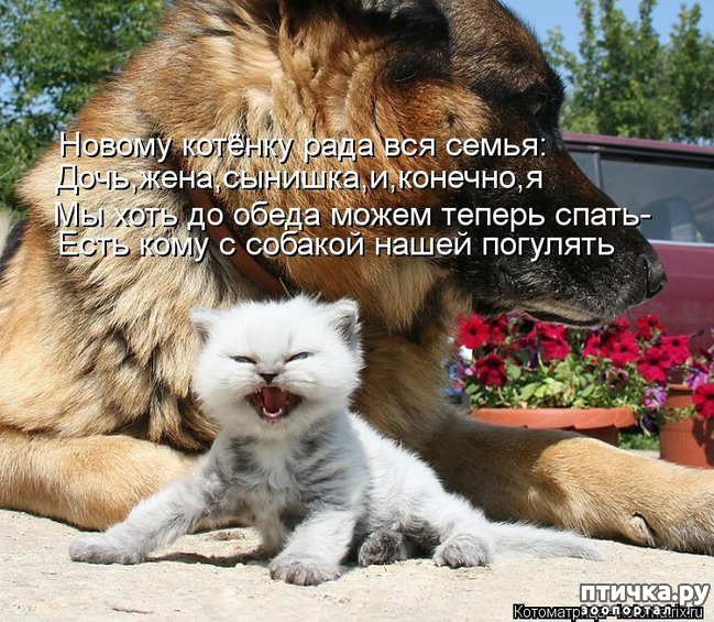 ���� 19: ������ � 2018 ���� ��������� �����������: ��� ����� � �������!