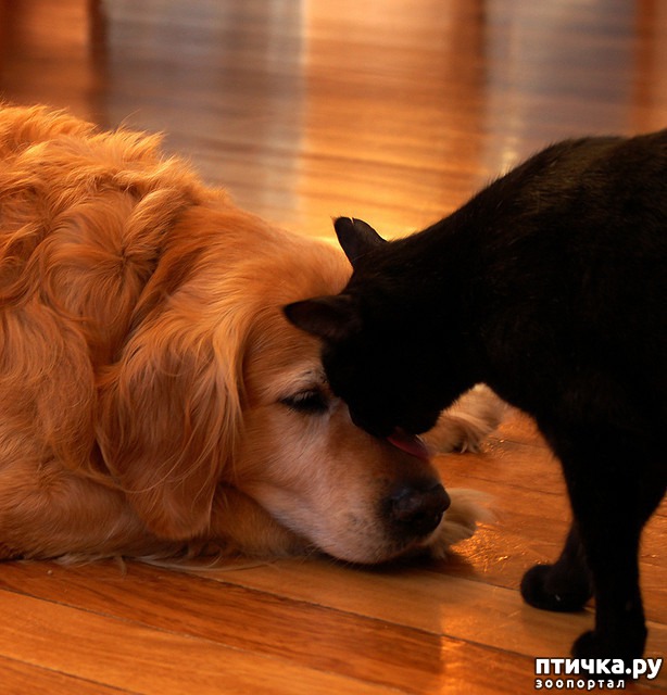 ���� 21: ������ � 2018 ���� ��������� �����������: ��� ����� � �������!