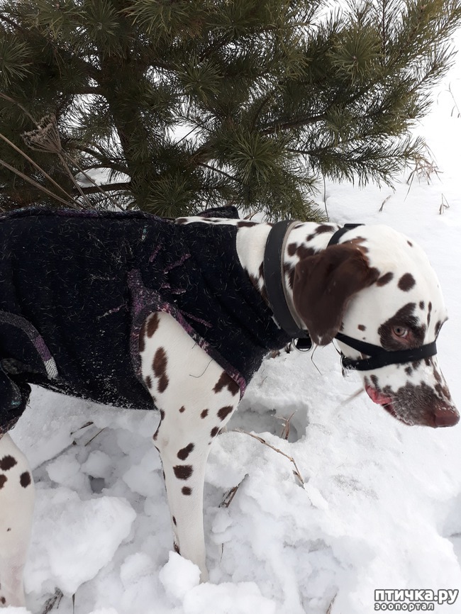 ���� 2: ������ �������.