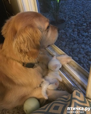 ����: ������� � ���������� ������� ����� � �������� ������� �����))