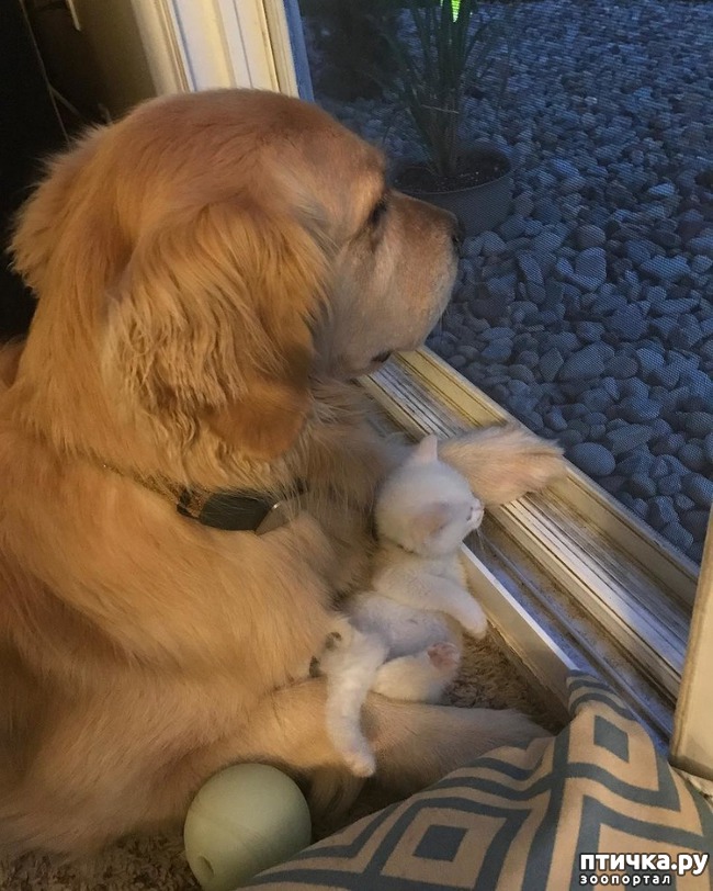 ���� 1: ������� � ���������� ������� ����� � �������� ������� �����))