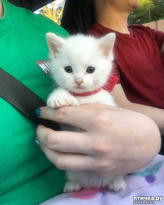 ���� 2: ������� � ���������� ������� ����� � �������� ������� �����))