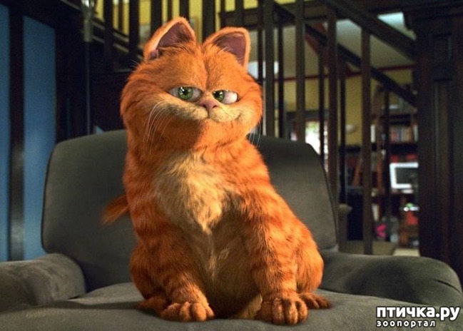 ���� 11: ������� ���������� ����������: ���� � �������������!