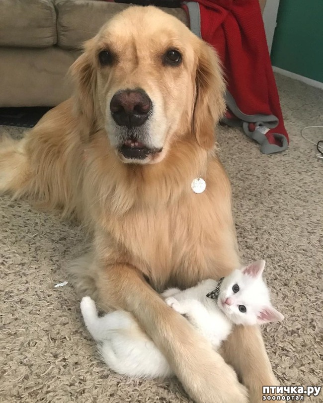 ���� 5: ������� � ���������� ������� ����� � �������� ������� �����))