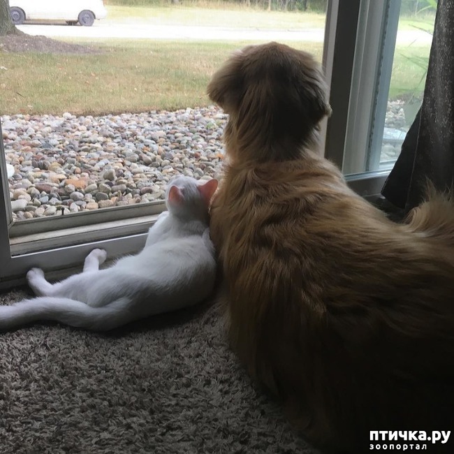 ���� 9: ������� � ���������� ������� ����� � �������� ������� �����))