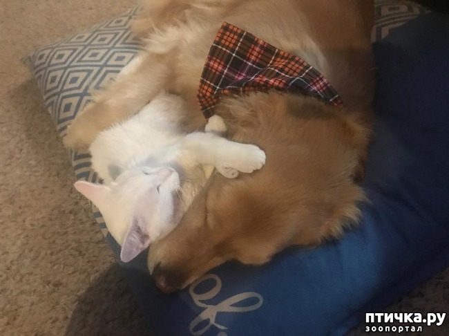 ���� 10: ������� � ���������� ������� ����� � �������� ������� �����))