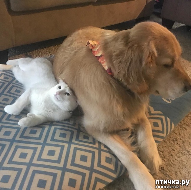 ���� 12: ������� � ���������� ������� ����� � �������� ������� �����))