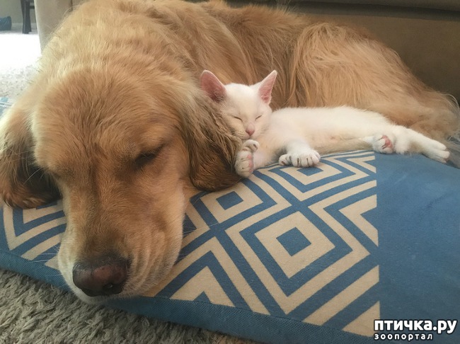 ���� 13: ������� � ���������� ������� ����� � �������� ������� �����))