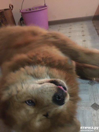 ���� 2: � ����� ����� ���������...