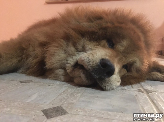 ���� 3: � ����� ����� ���������...