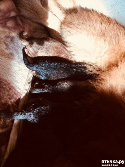 ���� 4: � ����� ����� ���������...