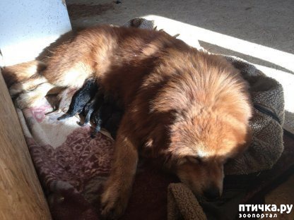 ���� 5: � ����� ����� ���������...