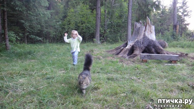 ���� 2: �����������, ��� ����!!!