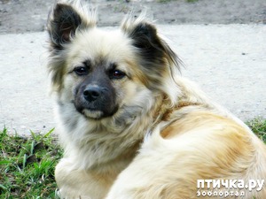 ����: �������������� �������))