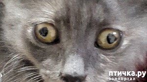 ����: ��� ������