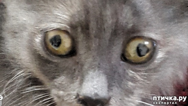 ���� 1: ��� ������