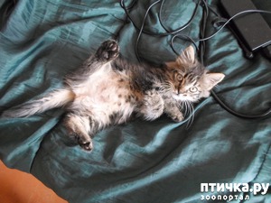 ����: ����� �� ������