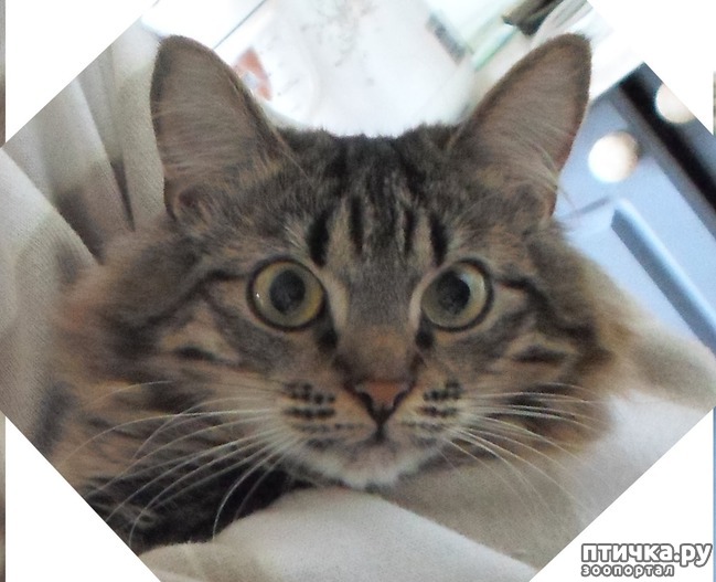 ���� 5: ����� �� ������