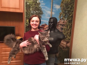 ����: ������� ���������� �����������!