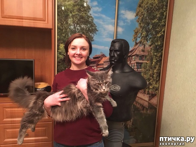 ���� 1: ������� ���������� �����������!