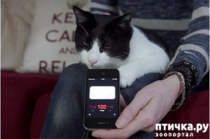 ����: ���������� ����� � ������: �����-�����������.