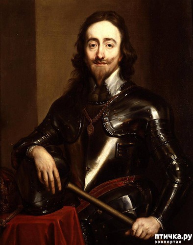 ���� 4: ���������� ����� � ������: ����� � ��������� ����.