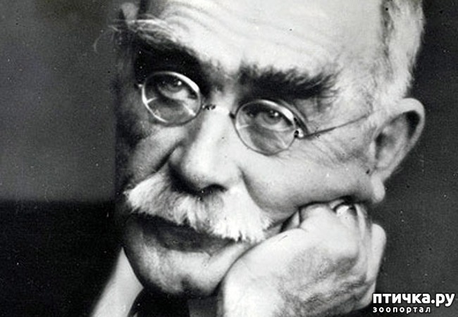 ���� 6: ���������� ����� � ������: ����� � ��������� ����.