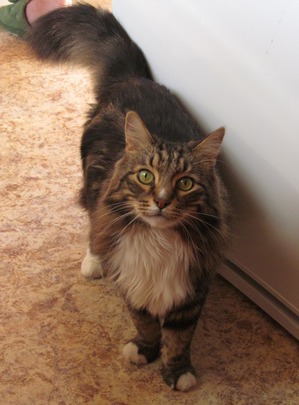 ����: �����������, ��� ����!!!