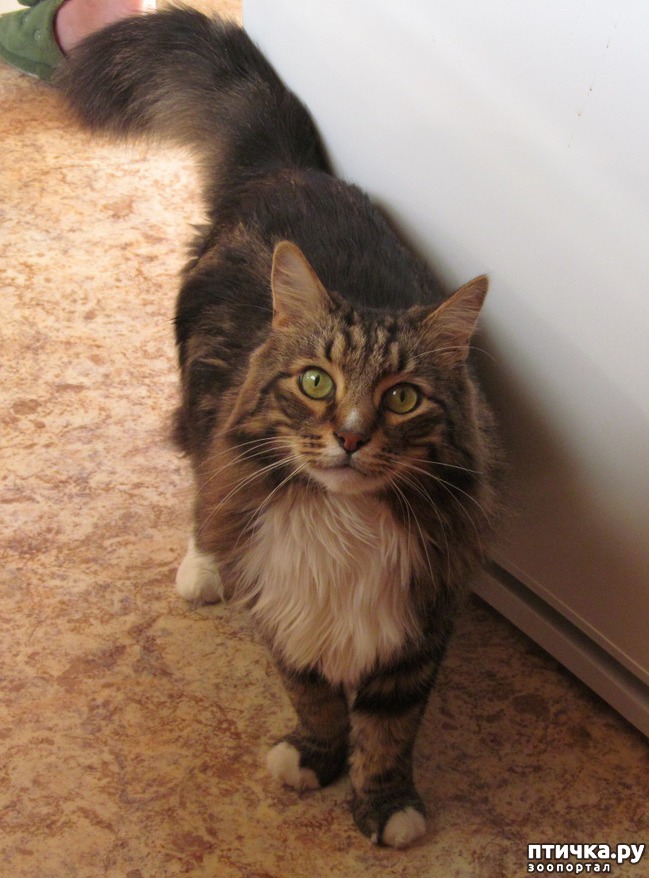 ���� 1: �����������, ��� ����!!!