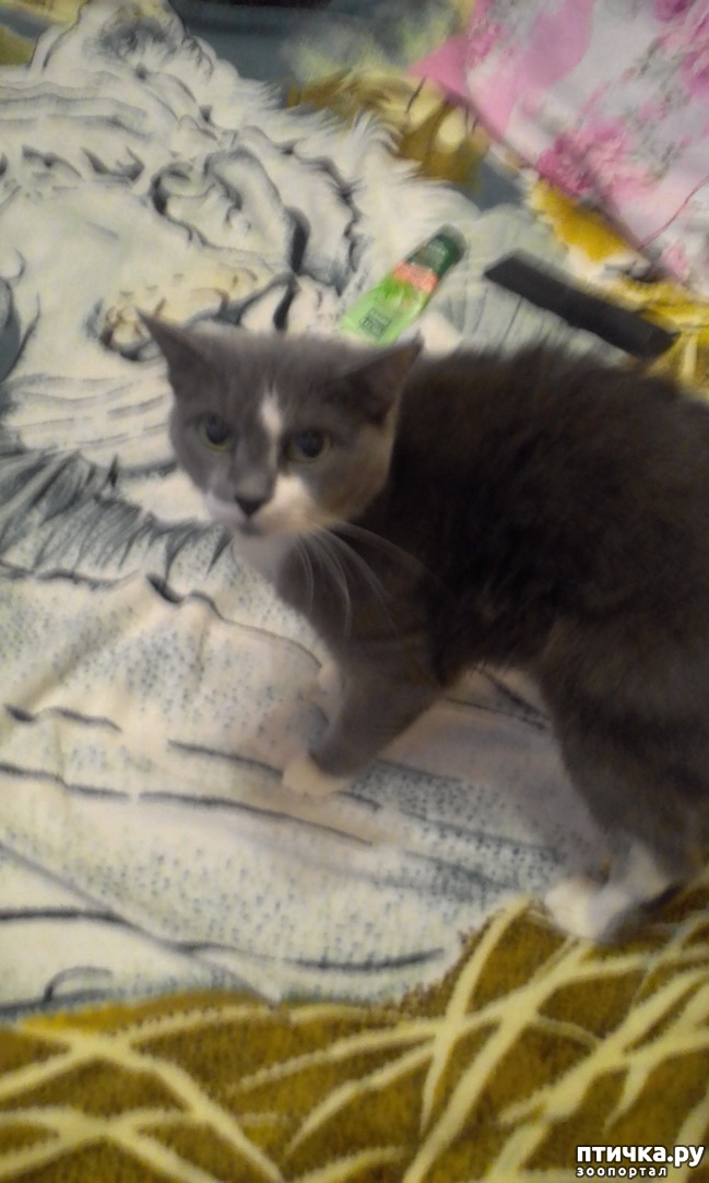 ���� 1: ������ �������������� �������