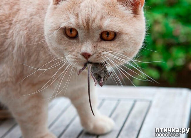 ���� 3: ��� �������� �����, ����� 2