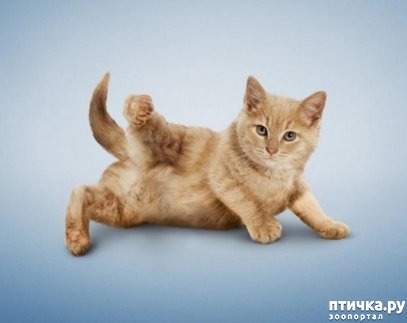 ���� 3: ����� � ����