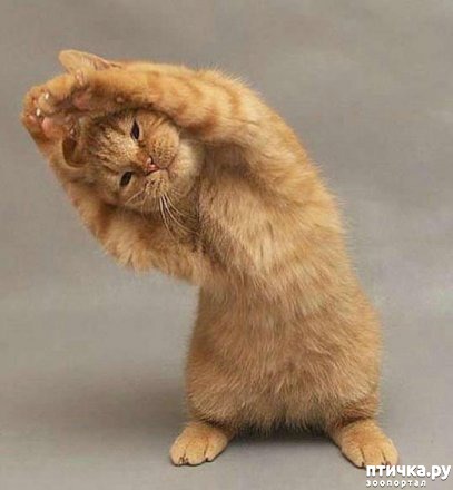 ���� 7: ����� � ����