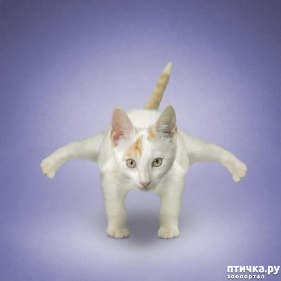 ���� 8: ����� � ����