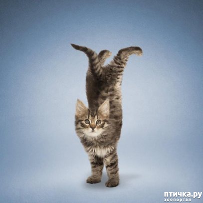 ���� 15: ����� � ����