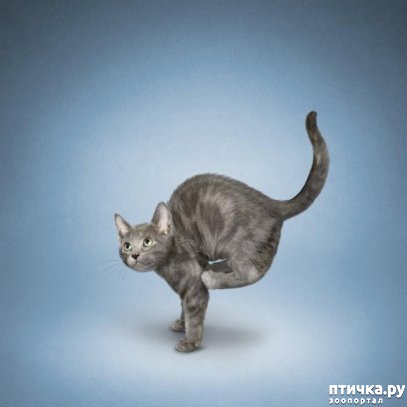 ���� 20: ����� � ����