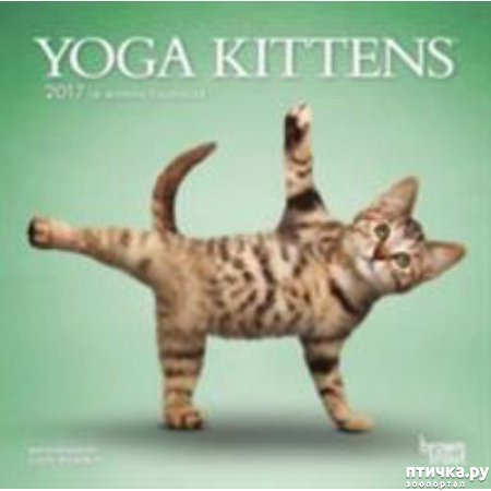 ���� 22: ����� � ����