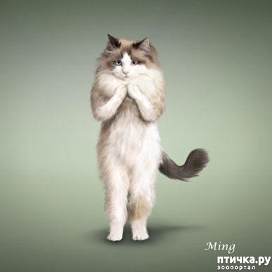 ���� 31: ����� � ����