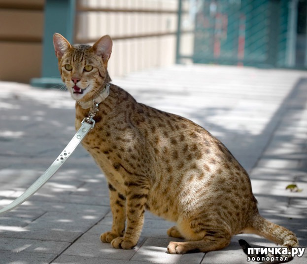 ���� 1: ����� - �����