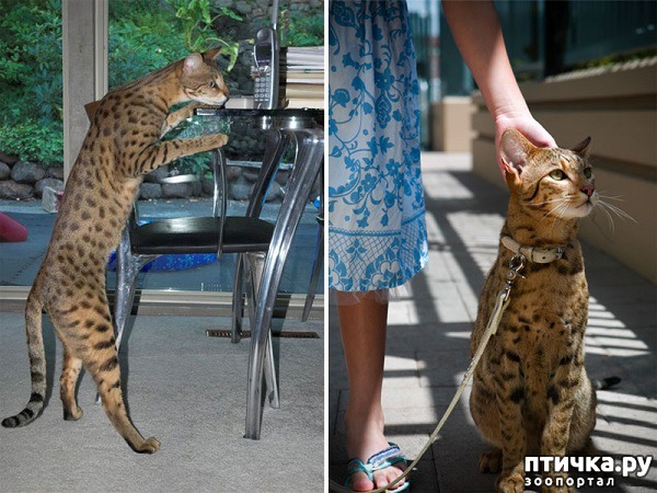 ���� 2: ����� - �����