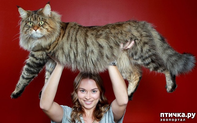 ���� 3: ����� - �����