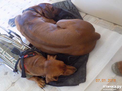 ���� 5: ����� ������ � ����� ���������!