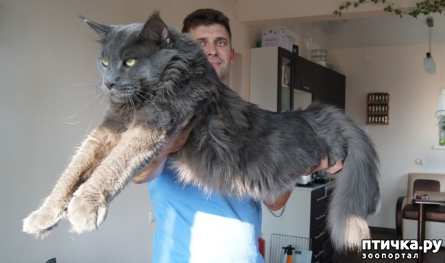 ���� 4: ����� - �����