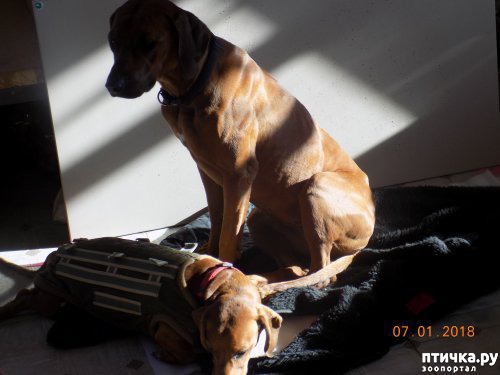 ���� 6: ����� ������ � ����� ���������!