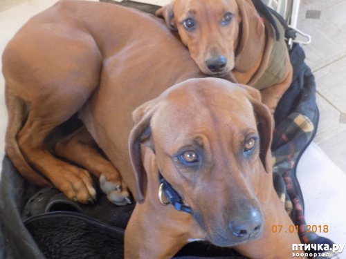 ���� 7: ����� ������ � ����� ���������!