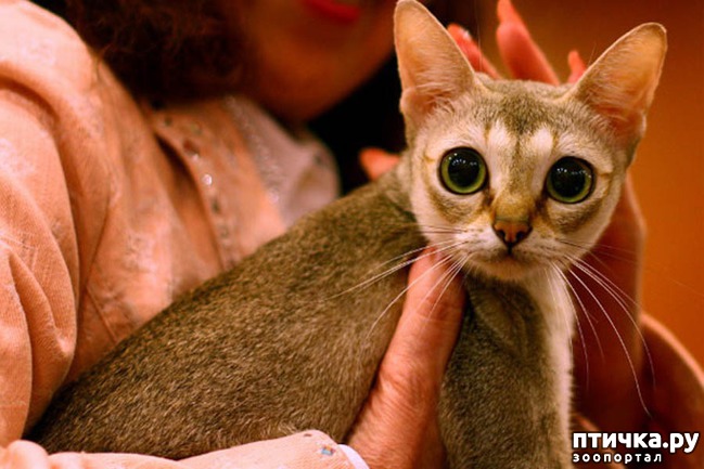 ���� 6: ����� - �����